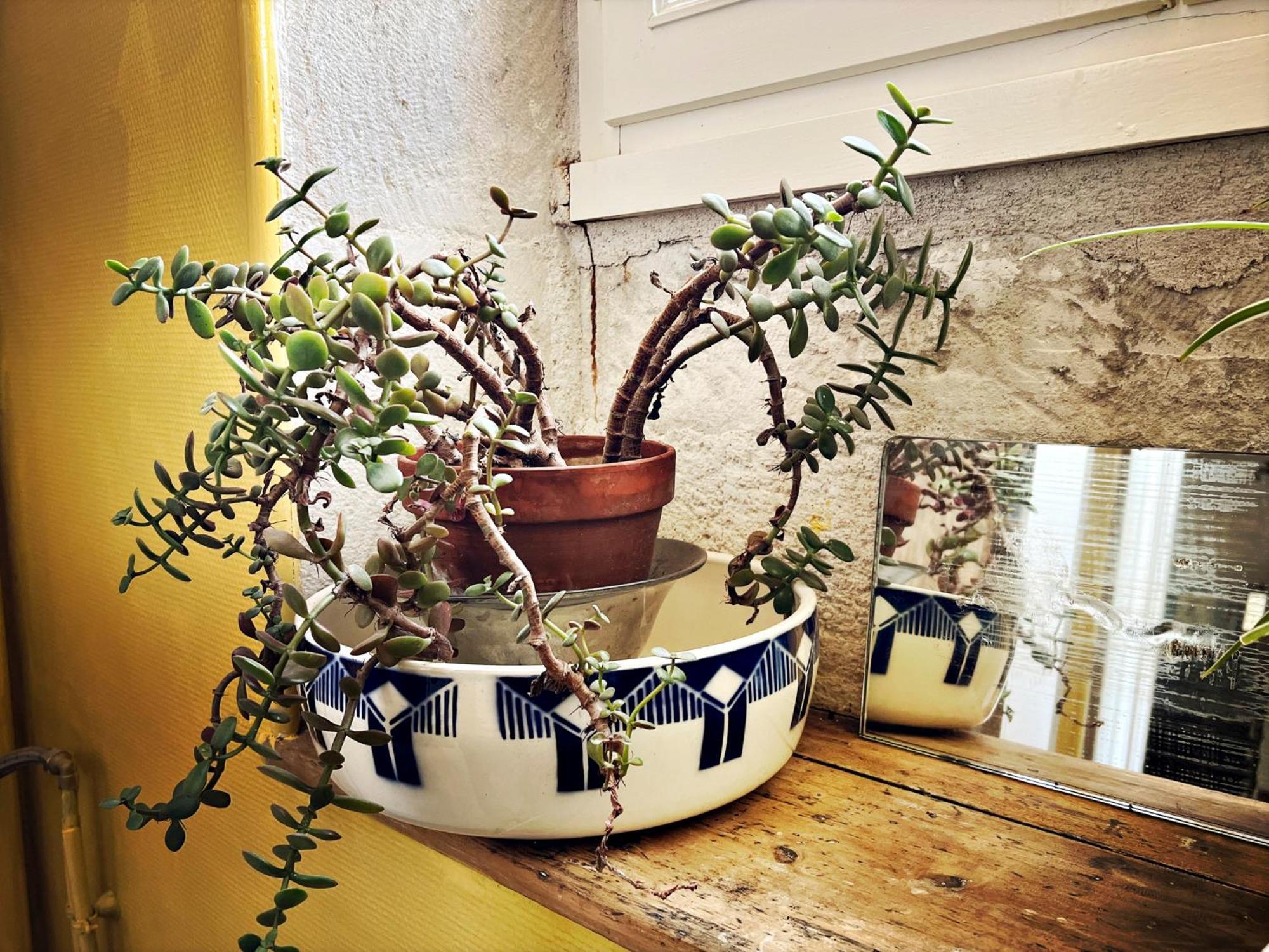 Maison Beurdelaine Αβαλόν Εξωτερικό φωτογραφία